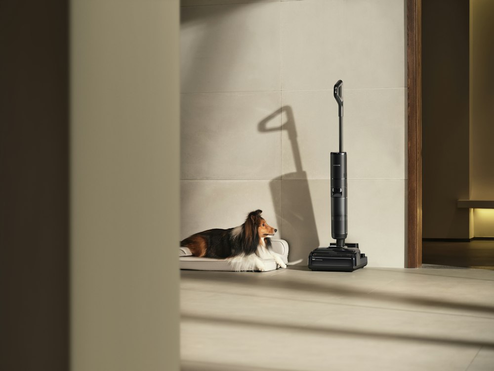 Representative photo of a cordless vacuum