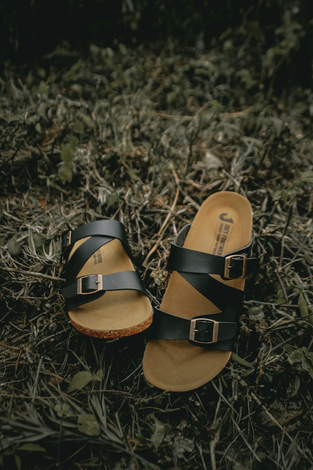 Chaco Z/2 Classic