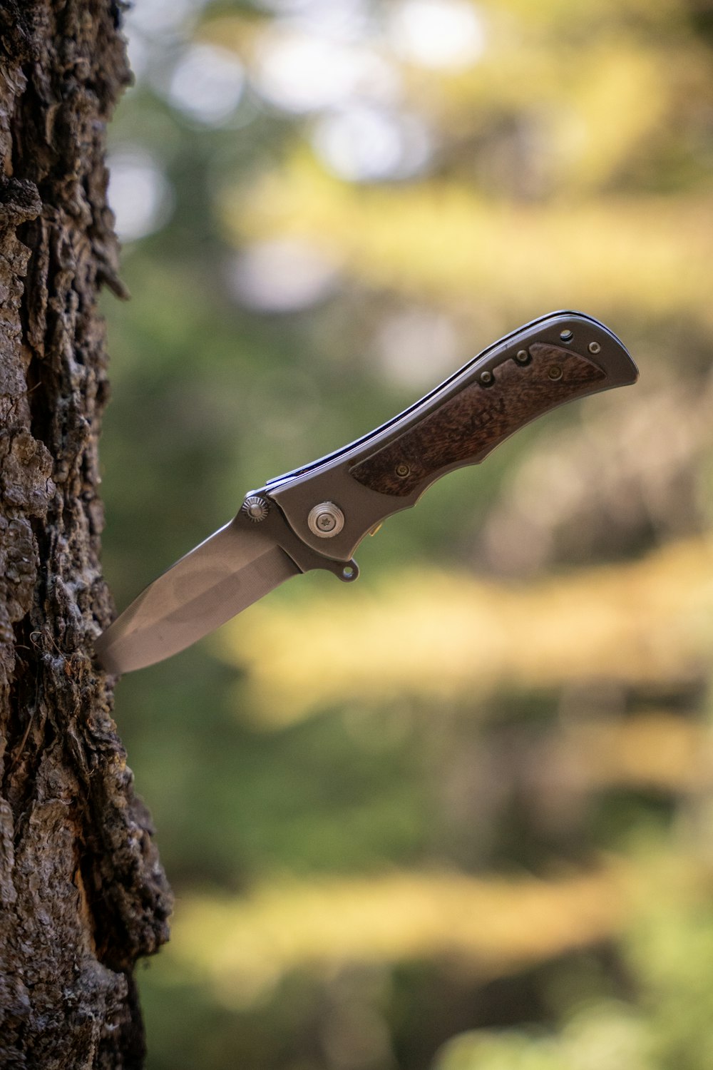 Spyderco Tenacious