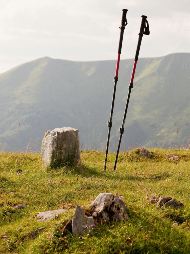 Representative photo of a trekking pole