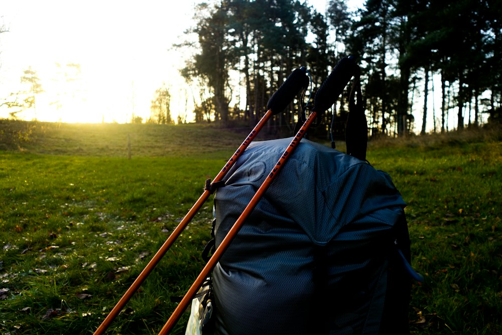 Leki Cressida FX Carbon